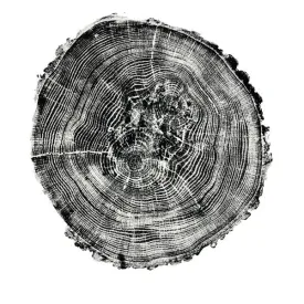 Black Log Print - Oak (18" x 24")