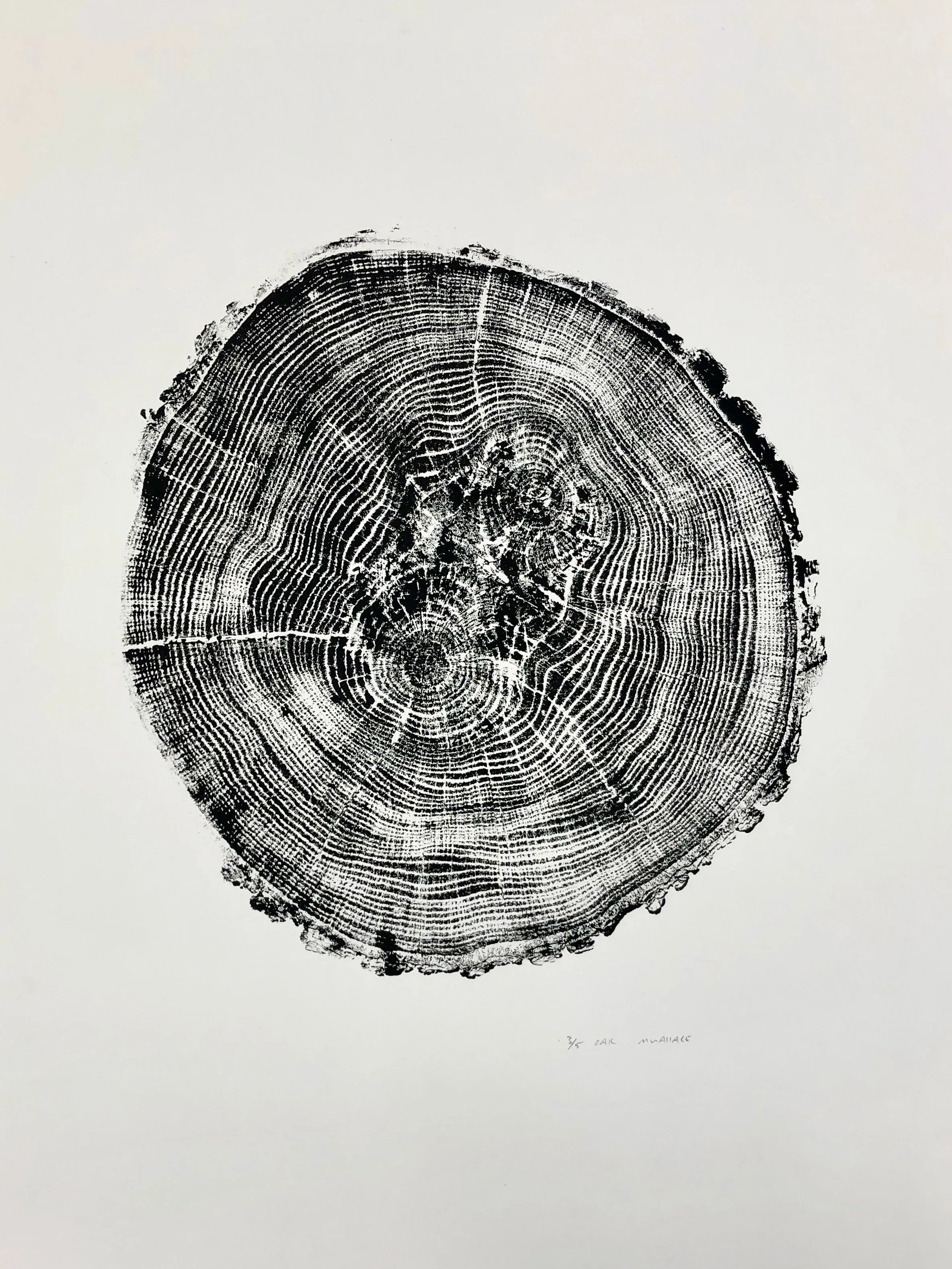 Black Log Print - Oak (18" x 24")