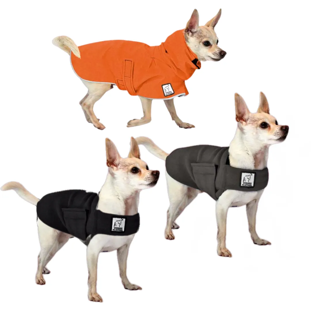 Chihuahua Fall Essentials Bundle