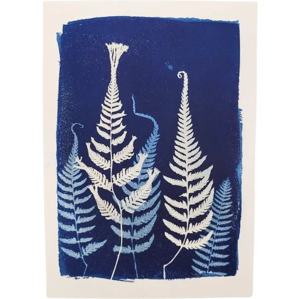 Cyanotype Art Print - Ferns (5" x 7")