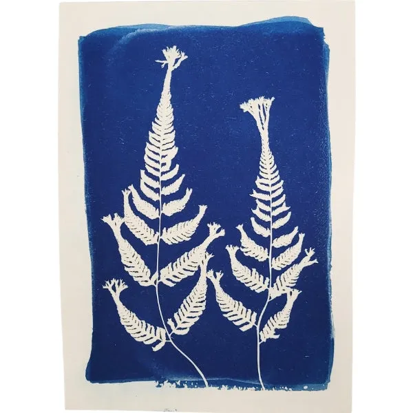 Cyanotype Art Print - Ferns (5" x 7")