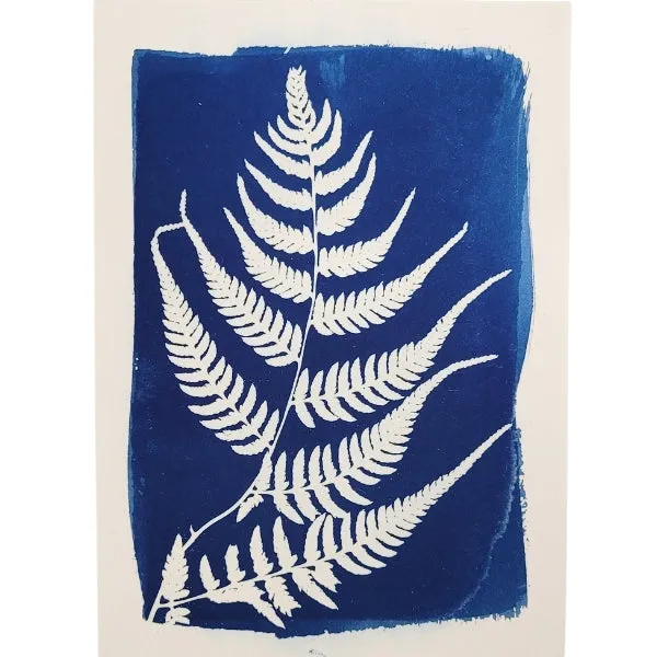 Cyanotype Art Print - Ferns (5" x 7")