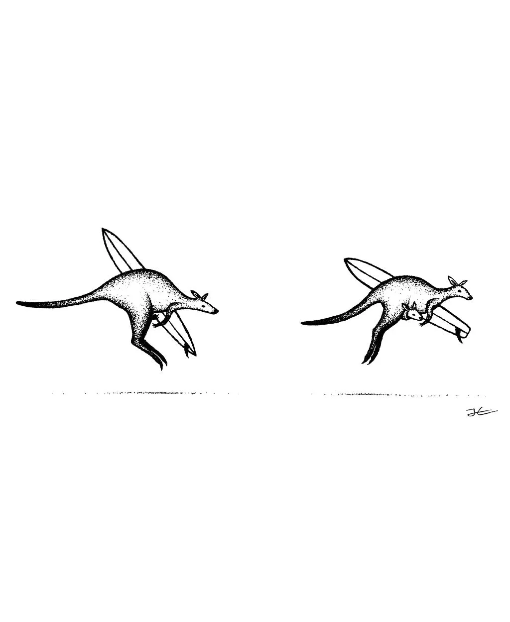 Inktober Kangaroos - Print/ Framed Print