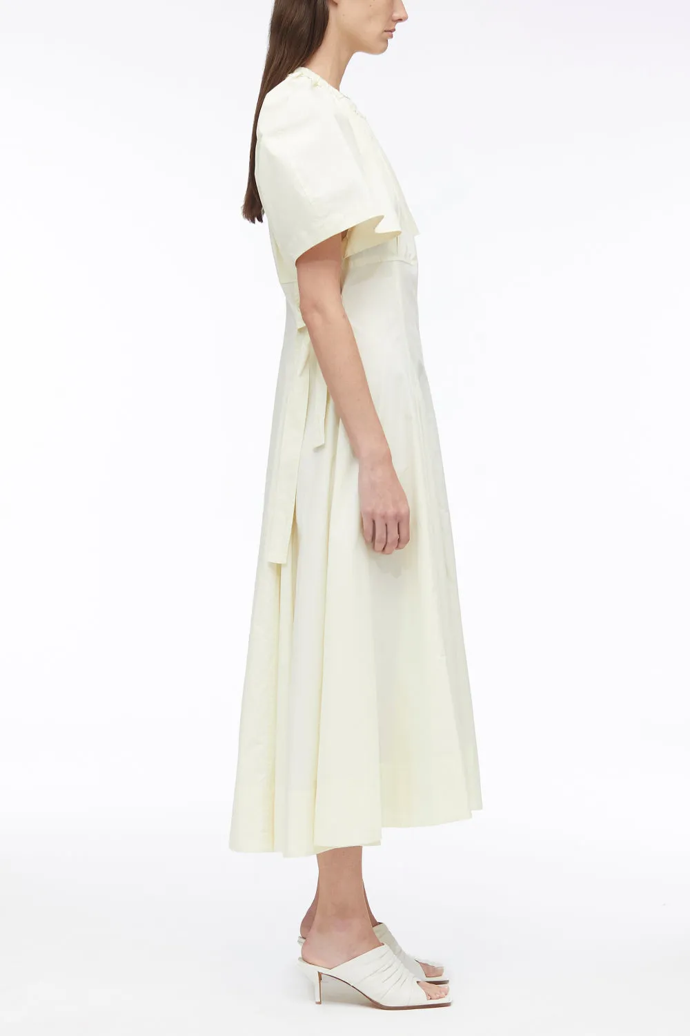 Ladybug Poplin Midi Dress