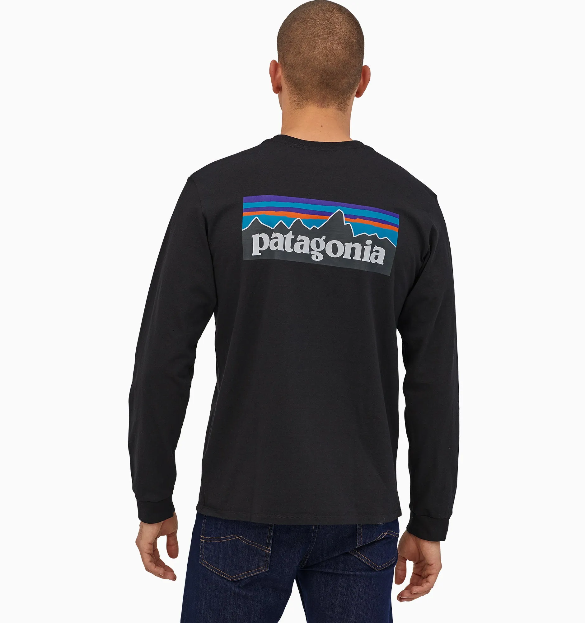 Patagonia Men's P-6 Logo Responsibili-Tee L/S