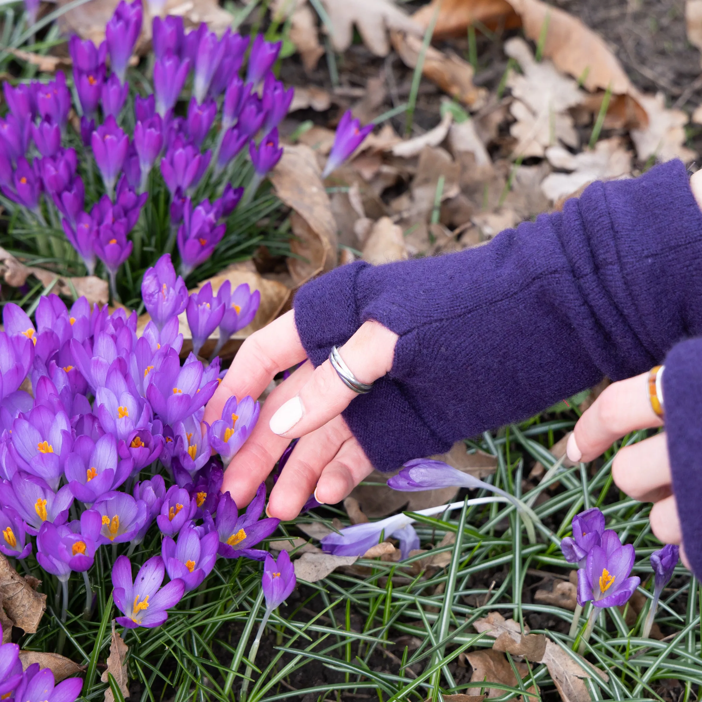 Purple Cashmere Fingerless Gloves