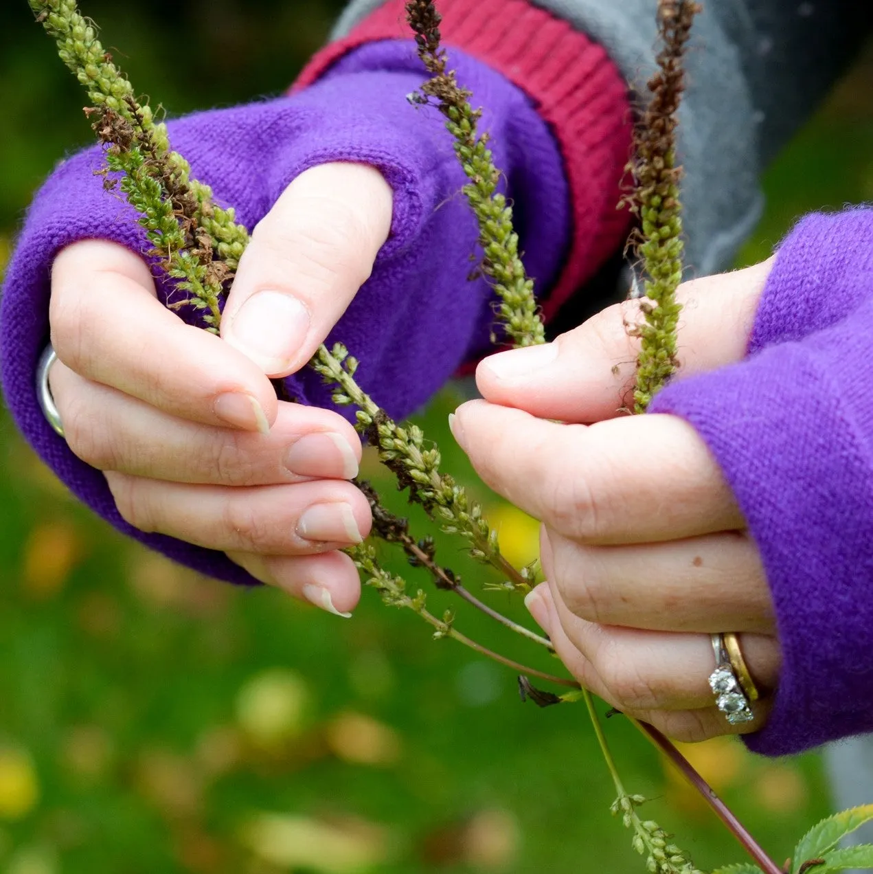 Purple Cashmere Fingerless Gloves